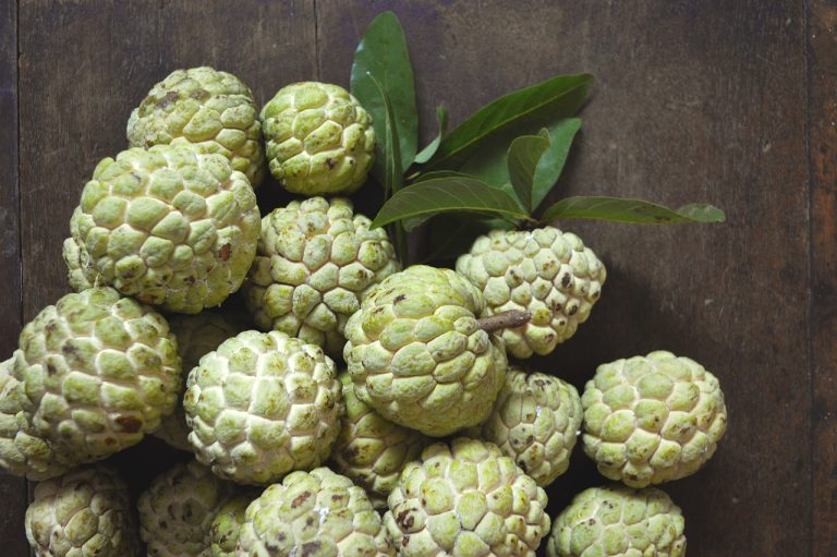 Custard Apple: 9 Health Advantages