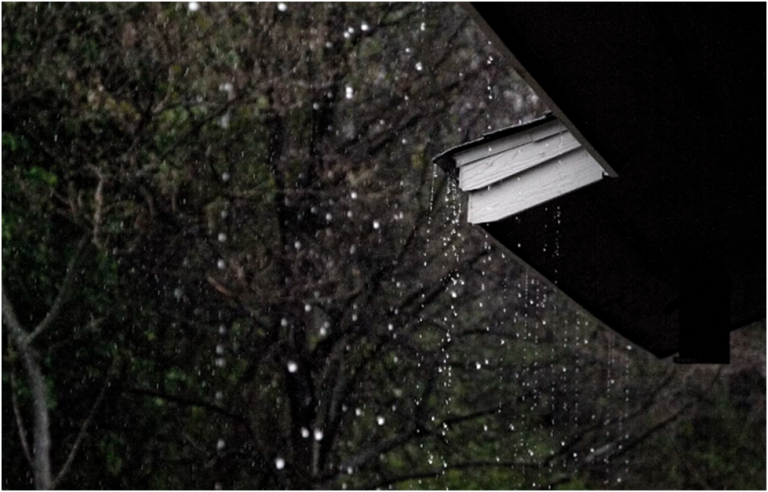 How to Prepare Your Home for Heavy Rains