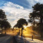 Top Winter Sun Destinations in the UK: Where to Warm Up