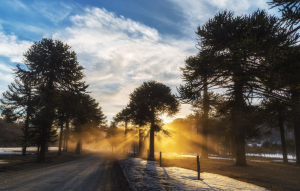 Top Winter Sun Destinations in the UK: Where to Warm Up