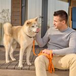 How to Choose the Best Boarding Center for Your Dog
