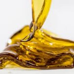 Lemon Haze Shatter: Bright Citrus Flavour Meets Potent Concentrate Effects